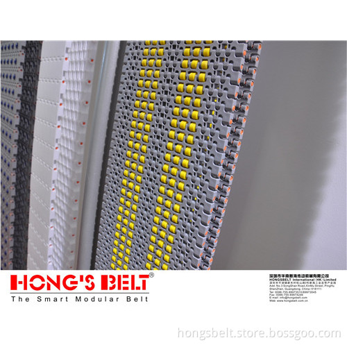 The Food Grade Modular Belt with Roller (HS-1100C)